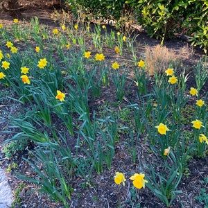 Meet your Posher, Fallek